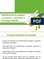 Guia IPEVR 2015 PDF