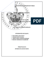 Practica 6 