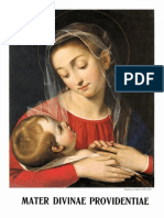 Madre Della Divina Providenza