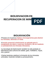  BIOLIXIVIACION