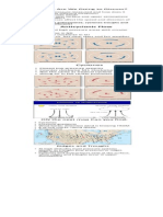 Slo 1 Artifact Delatorre