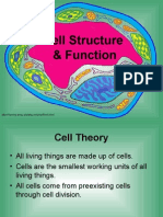 Cell Structure & Function