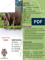 Hippo Fast Facts: Weight, Length, Diet and More