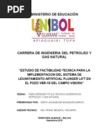 TESINA EDITH.pdf