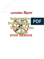Dengue Narrative