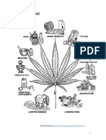 Cannabis Medicinal1 por Rishi Samsara 