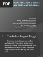 Hewan Tingkat Rendah