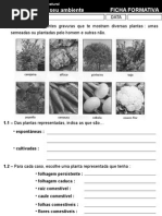 4 - À Descoberta Do Ambiente Natural