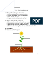 Plant Test