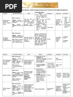 Modelo Do Plano de Acao Mpd