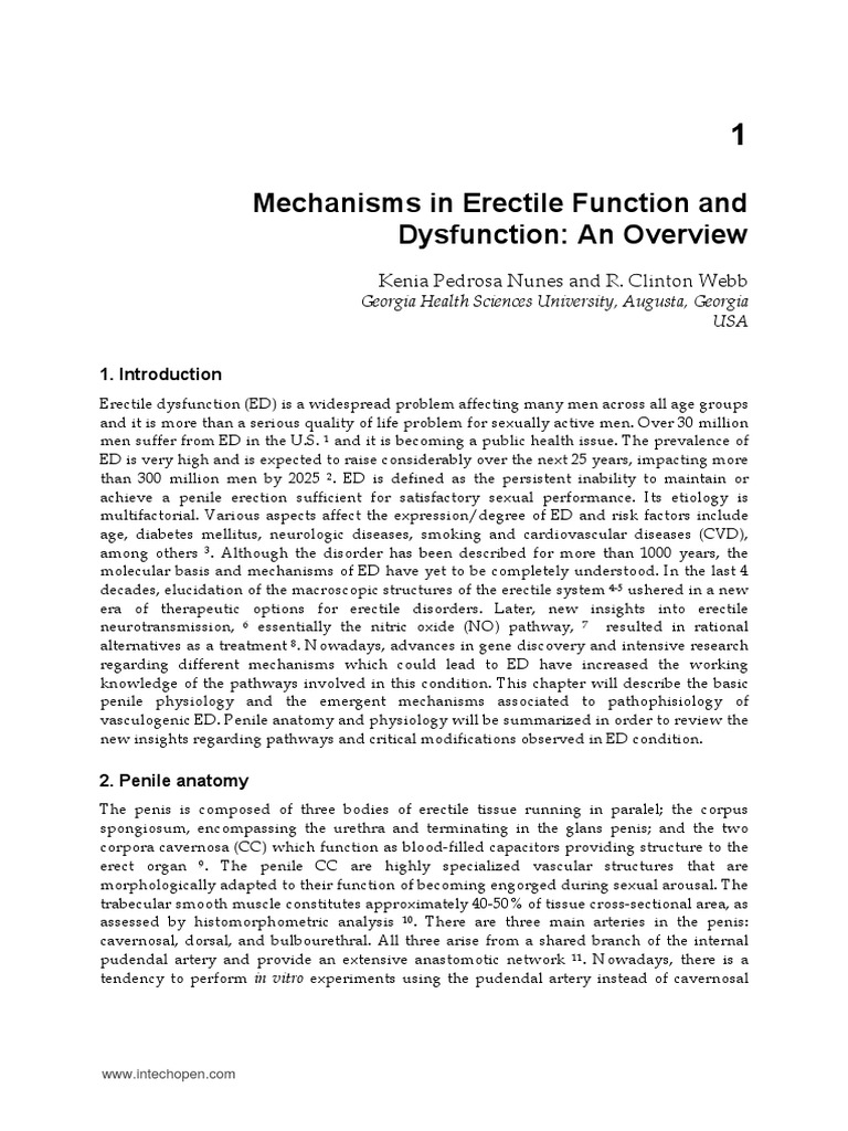 Erectile Dysfunction: Mechanisms and Insights | PDF | Mitogen Activated ...