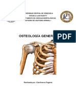 Osteologia General