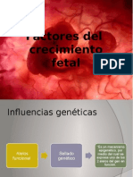 Crecimiento Fetal