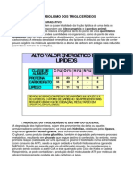metabolismo dos lipideos.pdf