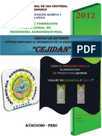 Elaboracion de Yogurt de Chirimoya y Sauco-Cejidan