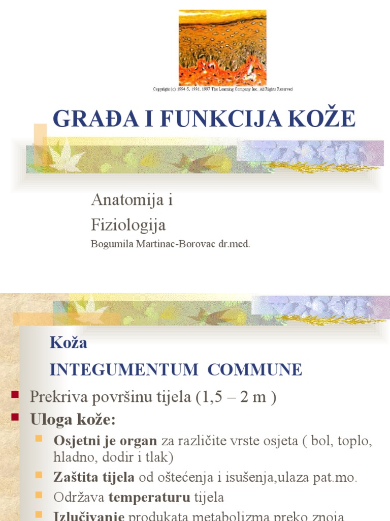 Gradja I Funkcija Koze | PDF