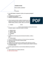 Preguntas para El Examen de Tesis PDF