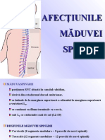 Afeciunile Mduvei Spinrii 150404012504 Conversion Gate01