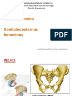 Clase Perine Femenino y Genitales Externos