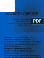 Aparate Gipsate LP