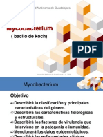 Mycobacterium Tuberculosis