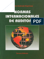 Normas Internacionales de Auditoria