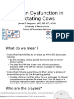 Ovarian Dysfunction in Lactating Cows