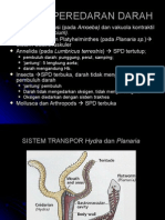 Biologi Sistem Peredaran Darah22