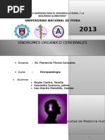 Sínd-orgánico-cerebrales