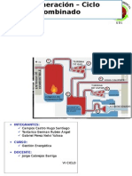 Cogeneracion Ciclo Combinado