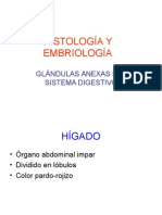 Glandula Anexas (Higado - Pancreas)