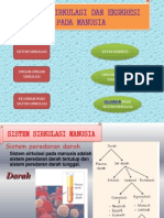 Sistem Sirkulasi dan Ekskresi Manusia