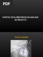 Ricketts Puntos y Planos | PDF | Anatomía humana | Cabeza y cuello humanos
