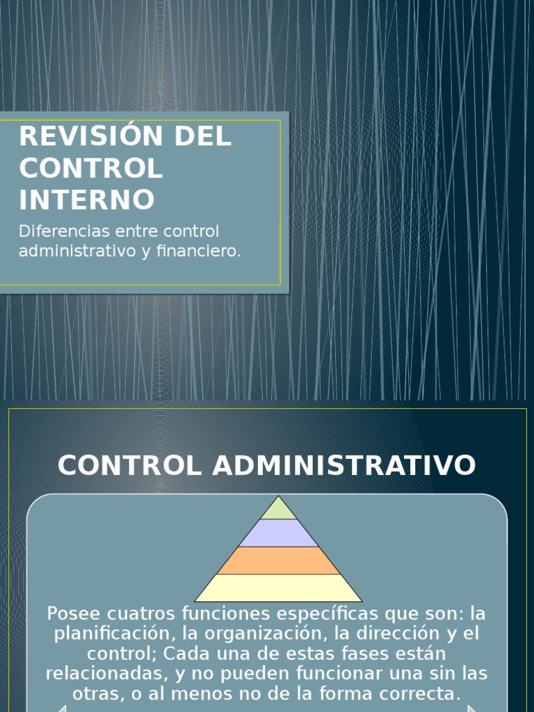 Revisión Del Control Interno | PDF | Contabilidad | Planificación
