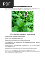 Download 18 KHASIAT DAN KEBAIKAN DAUN PUDINAdocx by Zailani Osman Ayah Su SN290938965 doc pdf