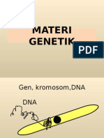 Mater i Gene Tik