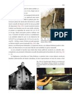 Patrimoniu 303-345 Mail PDF