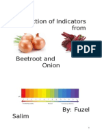Extraction of Indicators From Beetroot and Onion CBSE Project