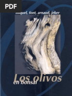 Los Olivos en Bonsai