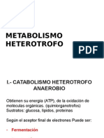 2.metabolismo Heterotrofo
