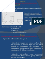 Buncare PDF