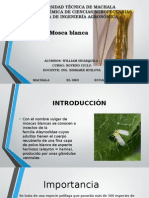 Mosca Blanca: Universidad Técnica de Machala Unidad Académica de Ciencias Agropecuarias Escuela de Ingeniería Agronómica