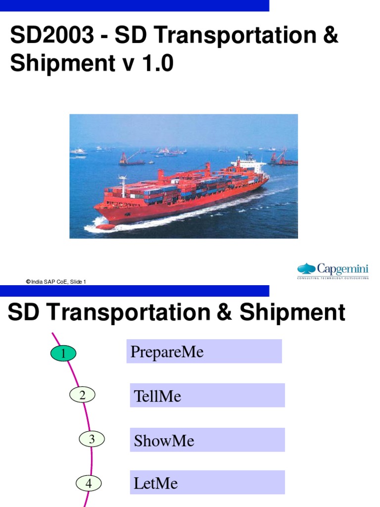 SAP Transportation & Shipment Overview | PDF | Logistics | Cargo