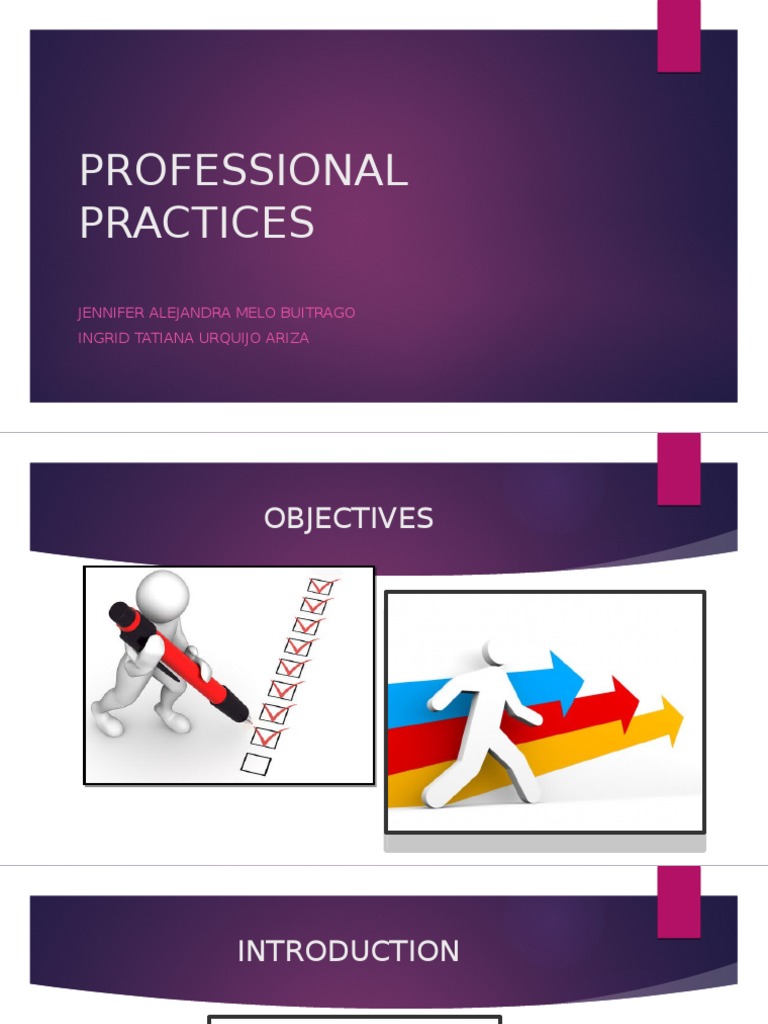 Professional Practices Analysis | PDF