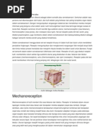 Kulit Sebagai Indra Peraba.docx