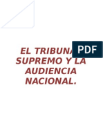 Tribunal Supremo y Audiencia Nacional.rtf