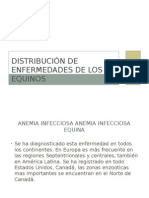 Distribución de Enfermedades de Los Equinos