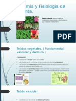 Anatomía y Fisiología de La Planta