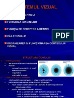 ochiul curs 6