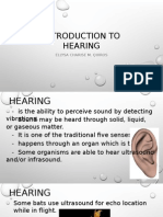 Acoustics Report